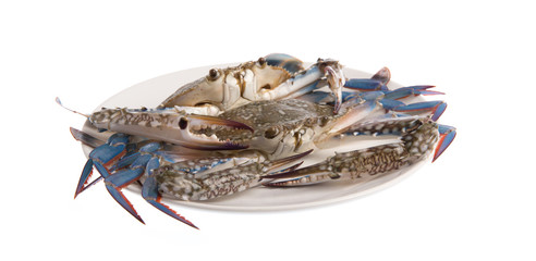 Fresh crab on a plate isolated on white background.