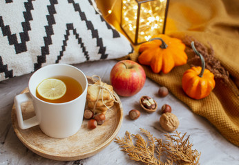 Tea Cup with Lemon Cookies Autumn Time Apple Pumpkin Toned Photo Knitting Orange Blanket Yellow Leaves Gray Background Lights