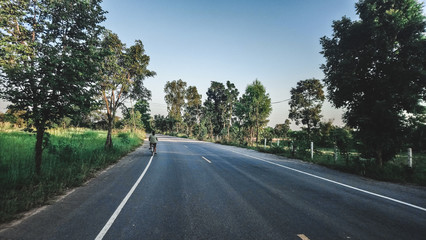 Fototapeta premium Road,nature,tree,Meadow
