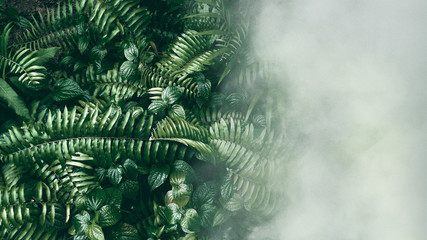 Vertical garden with tropical green leaf with fog and rain, Dark tone