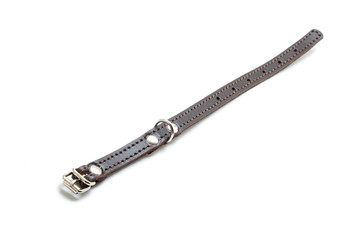 Cat and dog collar on white background