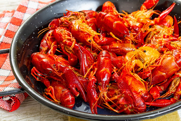 crayfish on white background