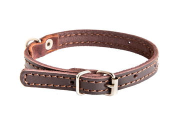 Cat and dog collar on white background