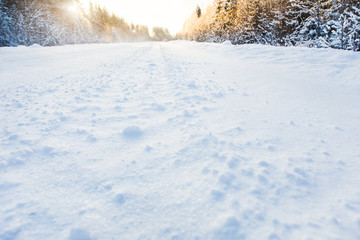 Winter road in the forest