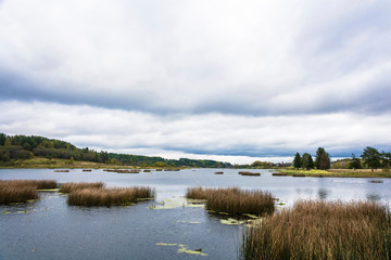 Autumn landscape with a river and a cloudy sky on an overcast day.