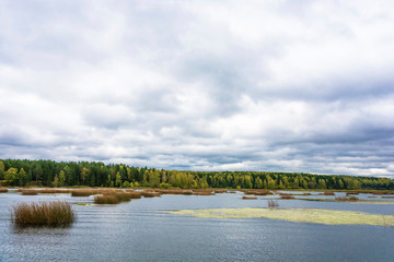 Autumn landscape with a river and a cloudy sky on an overcast day.