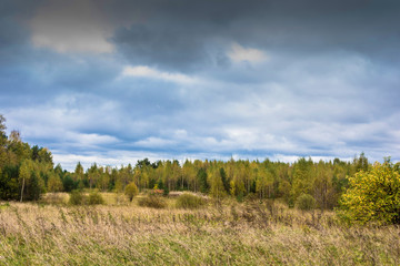 Beautiful autumn landscape on a cloudy day with a cloudy sky.