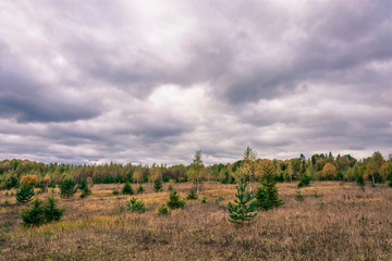 Beautiful autumn landscape on a cloudy day with a cloudy sky.