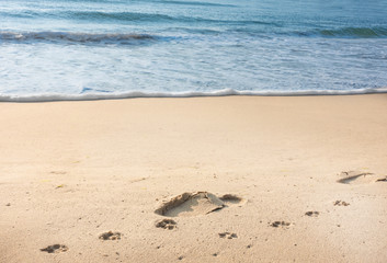 Footprints on sea sand