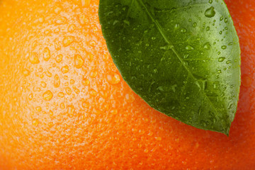 orange wiht leaf