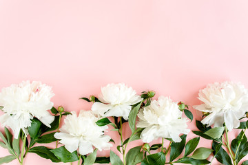 White peonies on pink background. Minimal floral concept greeting card. Flat lay, top view. 