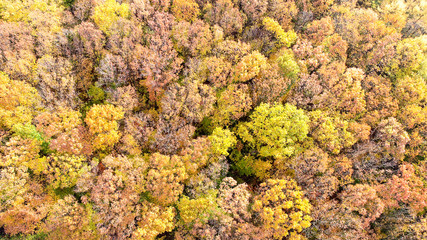 Herbst-Impressionen 03