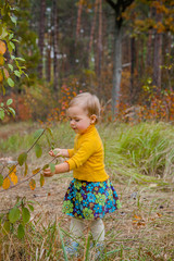 Happy little girl walks in autumn park, gathers leaves.