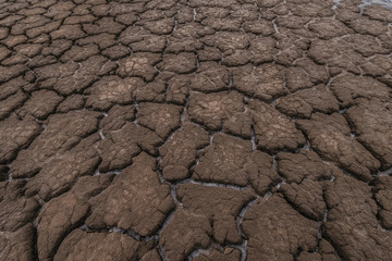Dry cracked soil texture background