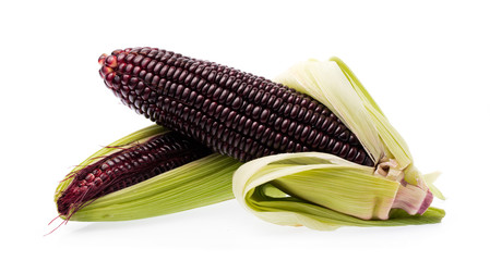 fresh purple corn isolated on a white background