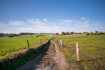 Fototapeta premium Country road 