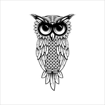 Owl vector design illustration, Owl t-shirt design illustration - Owl logo design inspiration