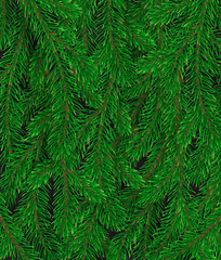 Christmas background with fir branches.
