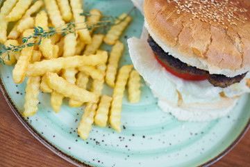 Delicious Hamburger and French Fries