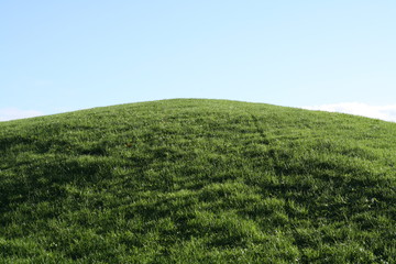 Naklejka premium Grassy Hill Crest