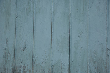Obraz premium Blue barn wooden wall planking wide texture. Old wood slats rustic shabby background.