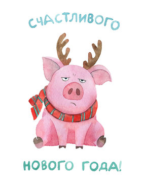 Watercolor pig in a scarf and with antlers. 2019 Russian New Year Of The Pig. card