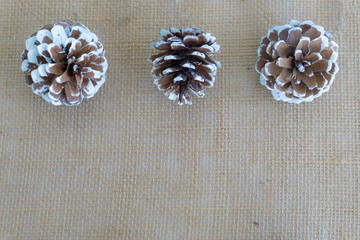 Christmas Holiday Background