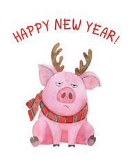 Watercolor pig in a scarf and with antlers. 2019 Chinese New Year Of The Pig. Happy new year card