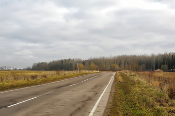 road in the autumn field