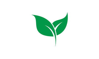 Nature leaf icon