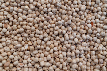 Hazelnut Background. Heap of peeled hazelnuts..