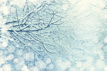 Snow on a tree branches. Winter scene with vintage look.