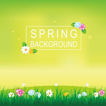 Summer Background, Spring Background, Flower Background, Nature Background