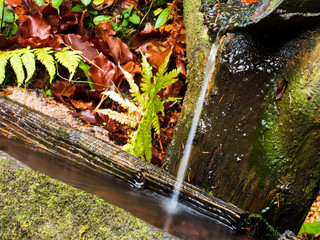 Waldbrunnen