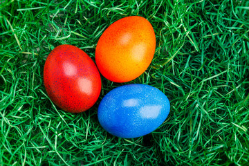 Bunte Ostereier im grün gefärbtes Heu 