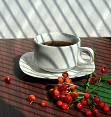 White cup of coffee, red berries and streaks of light.