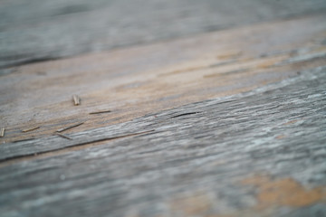 Wooden texture and background