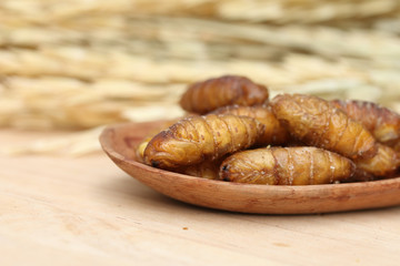 Close up of fried silkworm on wooden spoon, Traditional Thai food