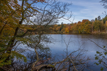 Lake in the forest in Denmark