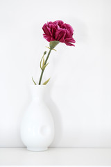 single purple carnation in vase