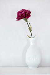 single purple carnation in vase
