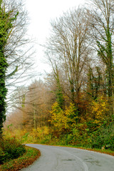 Beautiful view of mountain road through forest in autumn. Mountain Goc near the Vrnjacka Banja in Serbia