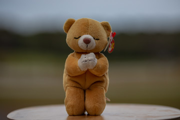 teddy bear