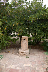 Fototapeta premium Selinunte, Italy - September 02, 2018: View of selinunte archaeological park