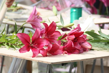 Pink lilies  at flower market