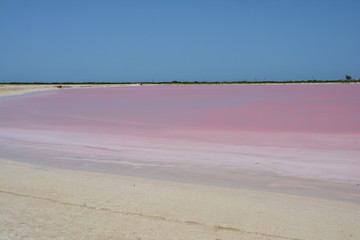 Lac Rose Las Coloradas Yucatan Mexique - Pink Lake Yucatan Mexico