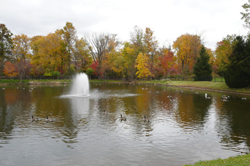 The scenery of autumn