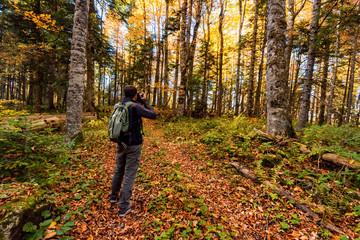 Back view male photographer in bright autumn forest