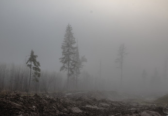 Obraz na płótnie Canvas railway in fog on field