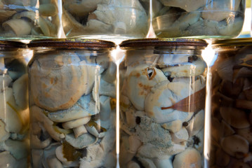 Pickled milk mushrooms in jars at village marketplace